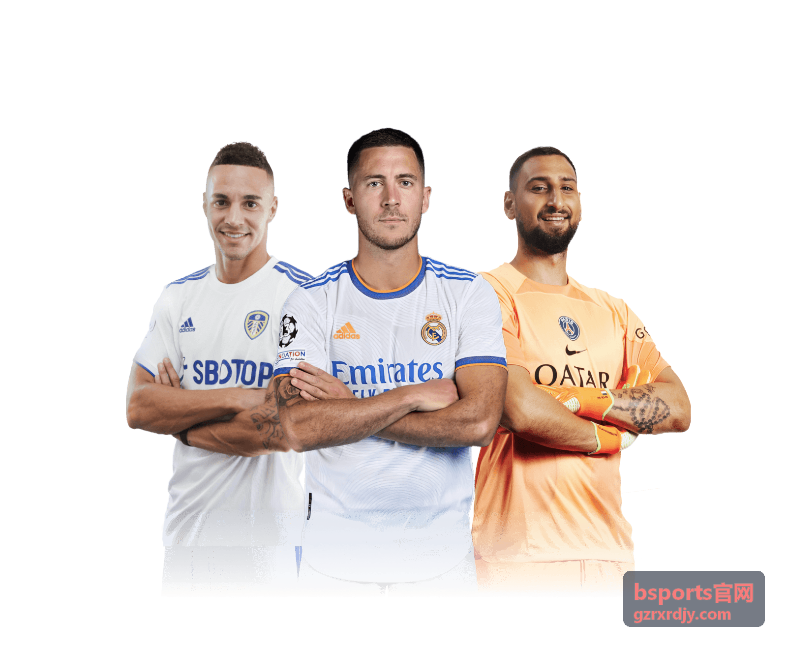 bsports官网体育赛事资讯内容示意